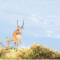 4e3ac13564525d5a0a00009b