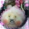 4f7307ff22c2db12e700008a